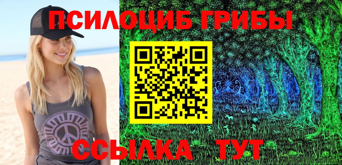 Галлюциногенные грибы MAGIC MUSHROOMS Алейск