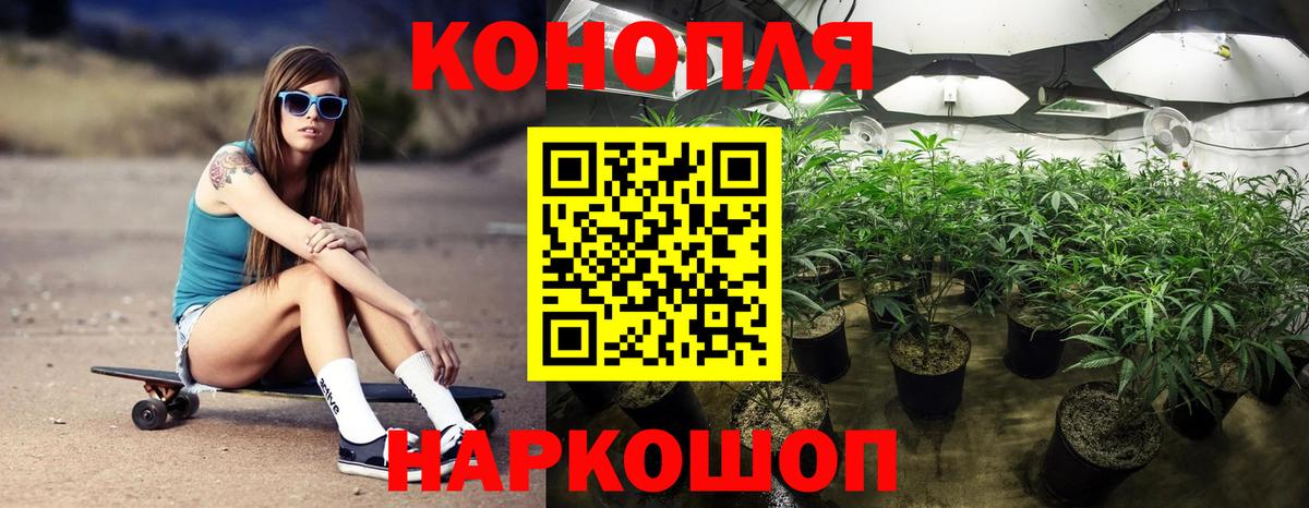 Канабис планчик  МАРИХУАНА план  Алейск  Вход с VPN 